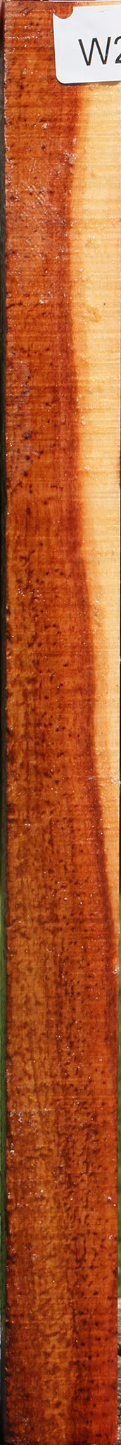 Figured Carob Turning Square