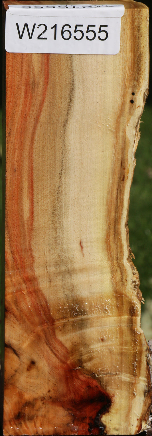 Extra Fancy Carob Live Edge Turning Blank