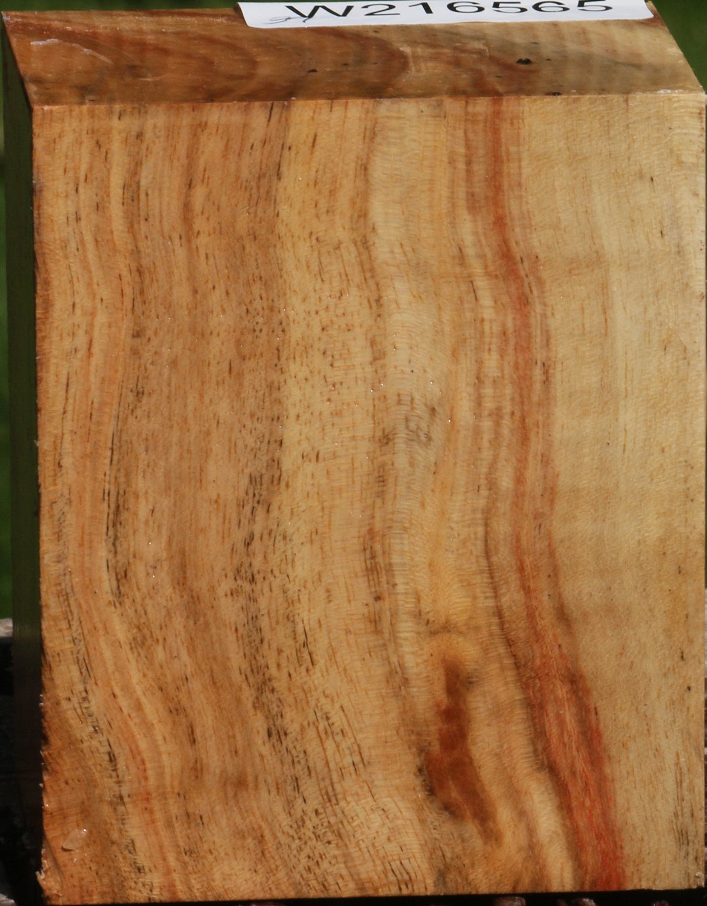 Carob Turning Blank