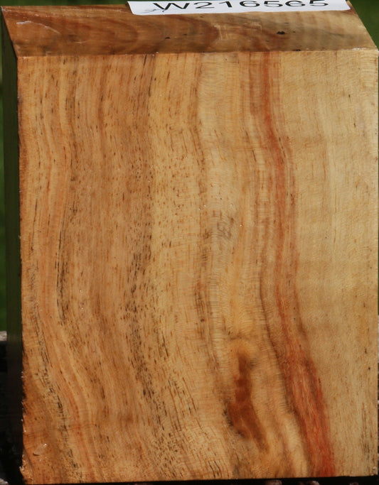 Carob Turning Blank