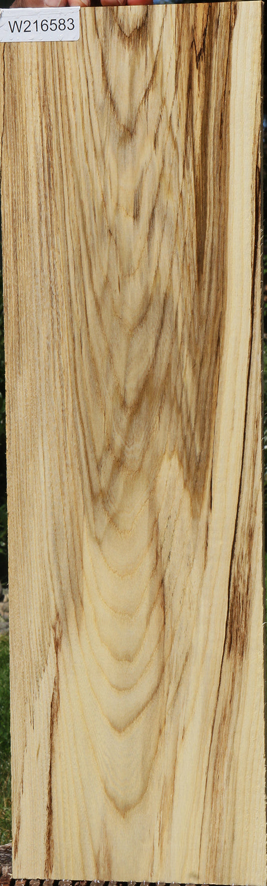 Extra Fancy Spalted Hackberry Lumber
