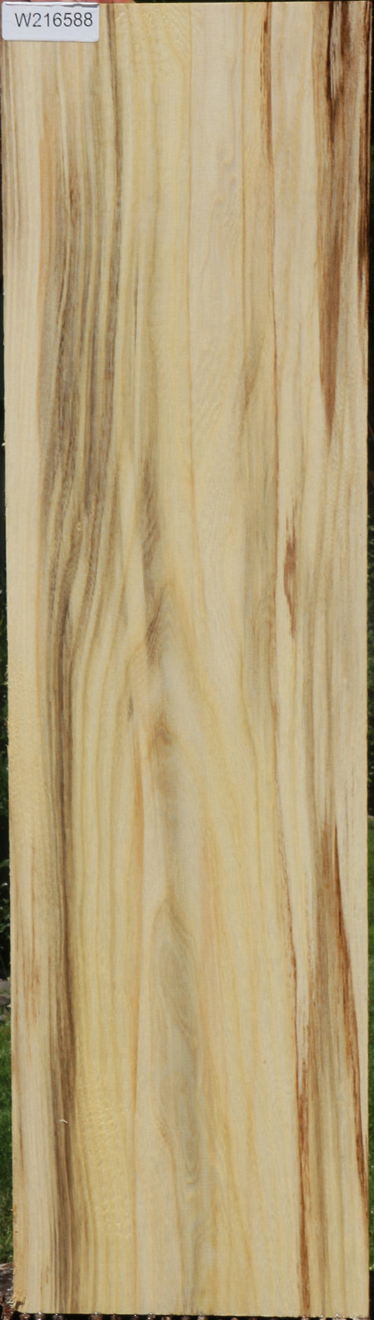 Figured Spalted Hackberry Lumber