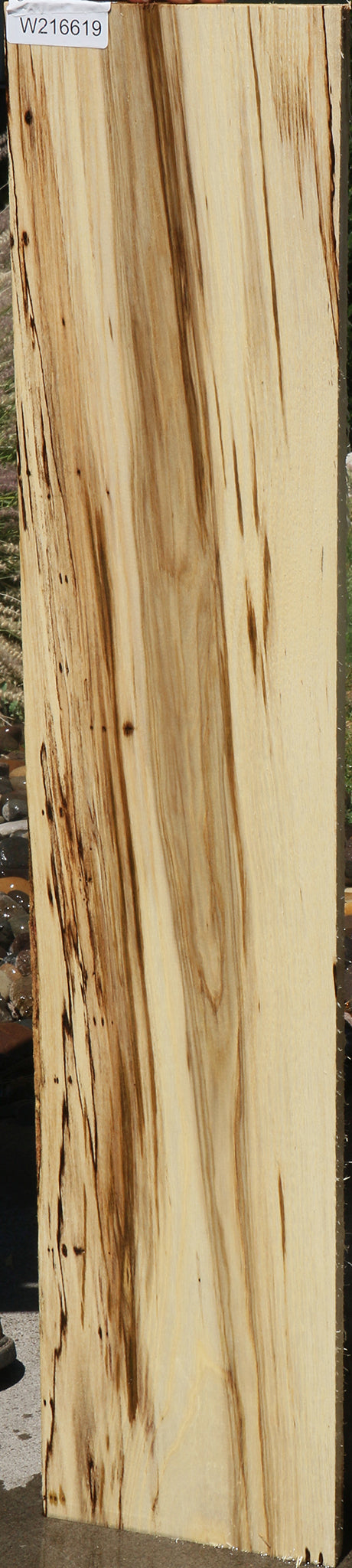 Hackberry Logs Hackberry – Cook Woods