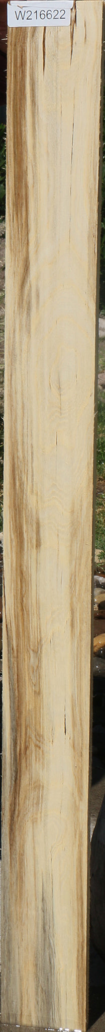 Figured Spalted Hackberry Lumber – Cook Woods