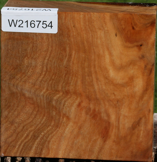 Figured Australian Eucalyptus Burl Bowl Blank