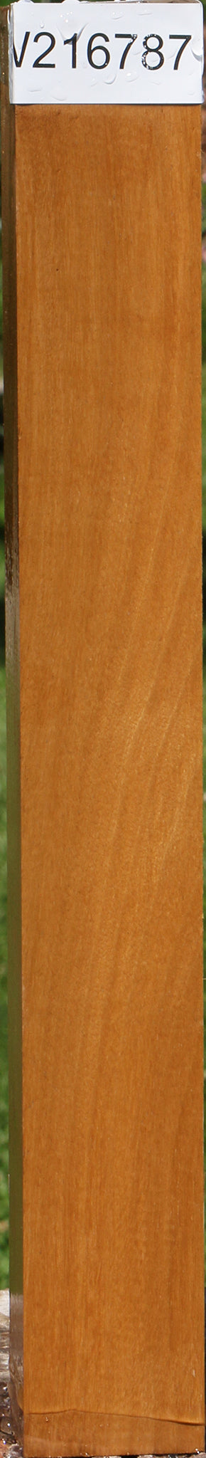 African Bog Birch Lumber