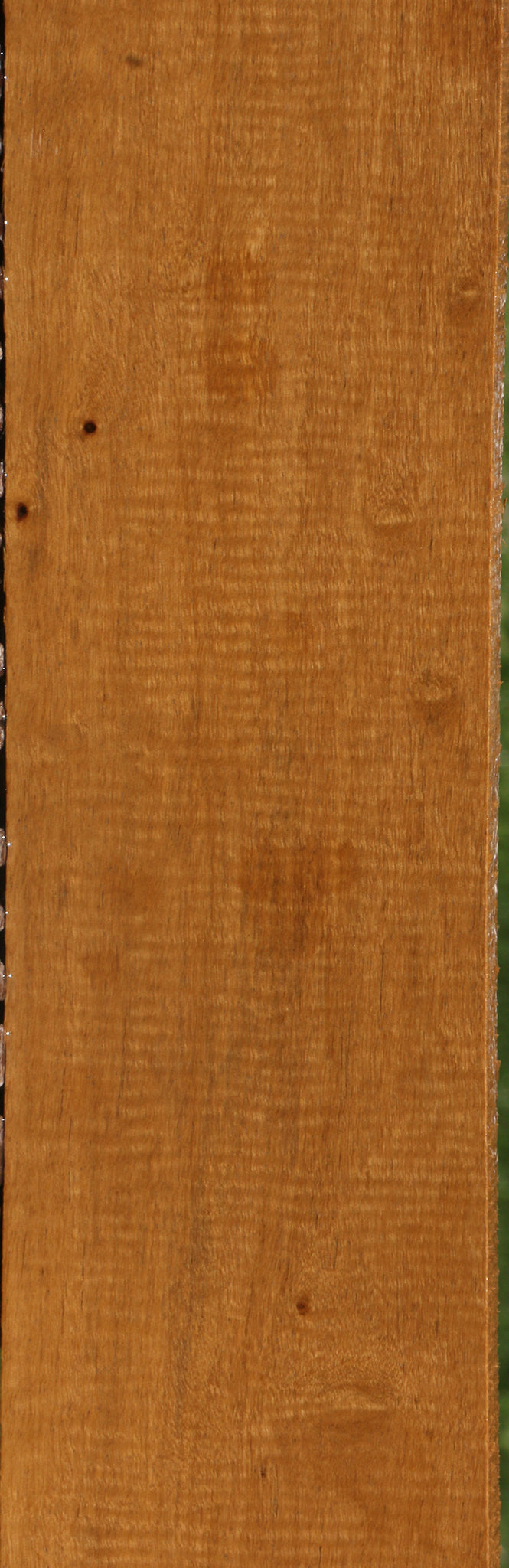 Extra Fancy African Bog Birch Lumber