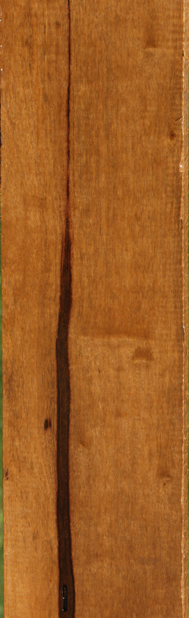 Extra Fancy African Bog Birch Lumber