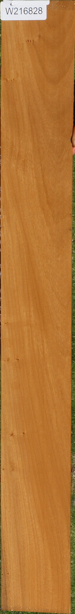 African Bog Birch Micro Lumber
