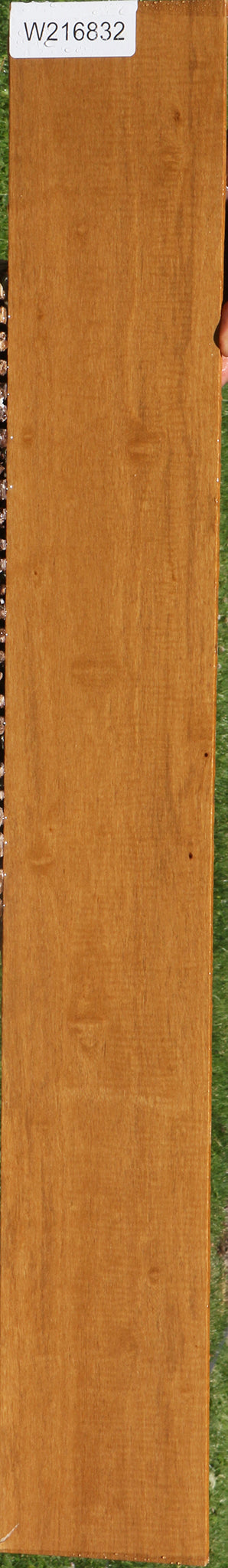 Rustic African Bog Birch Micro Lumber