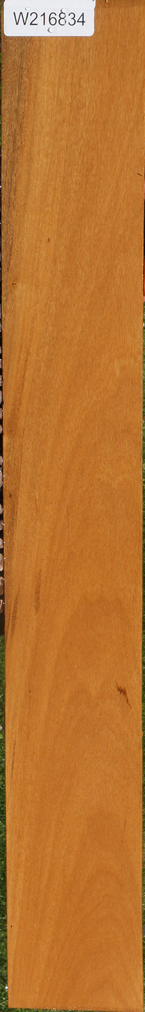 African Bog Birch Micro Lumber