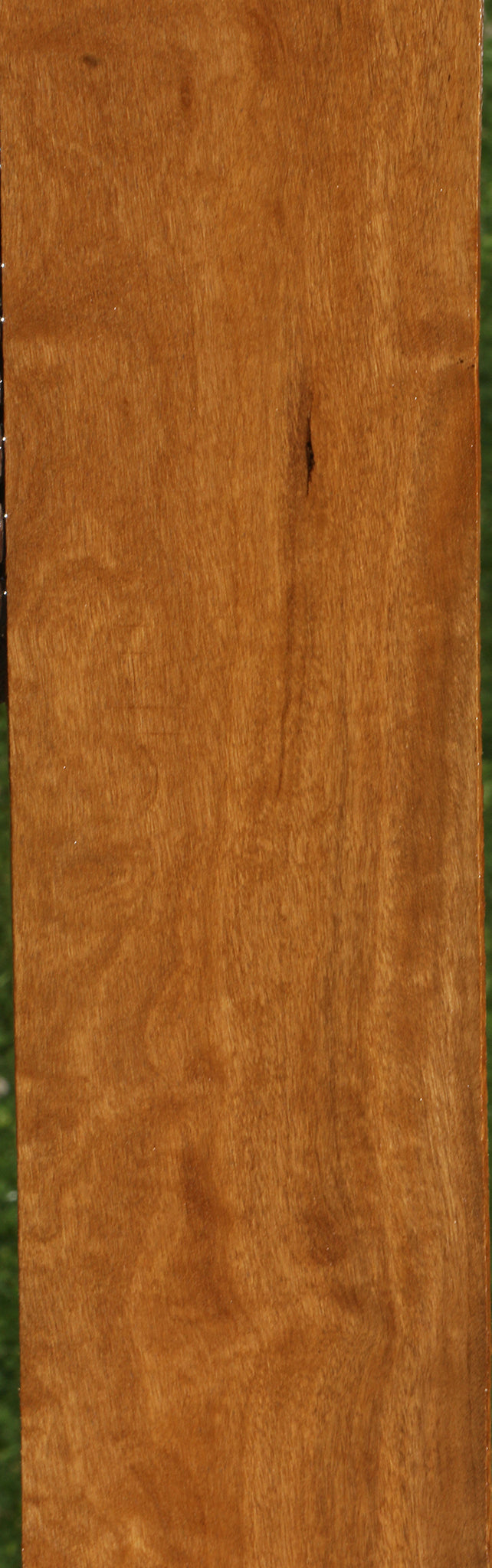 Extra Fancy African Bog Birch Micro Lumber