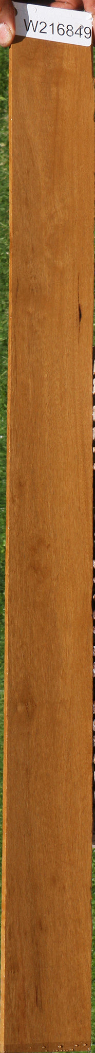 African Bog Birch Micro Lumber