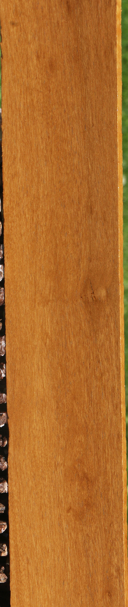 African Bog Birch Micro Lumber