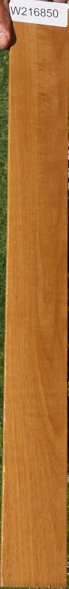 African Bog Birch Micro Lumber