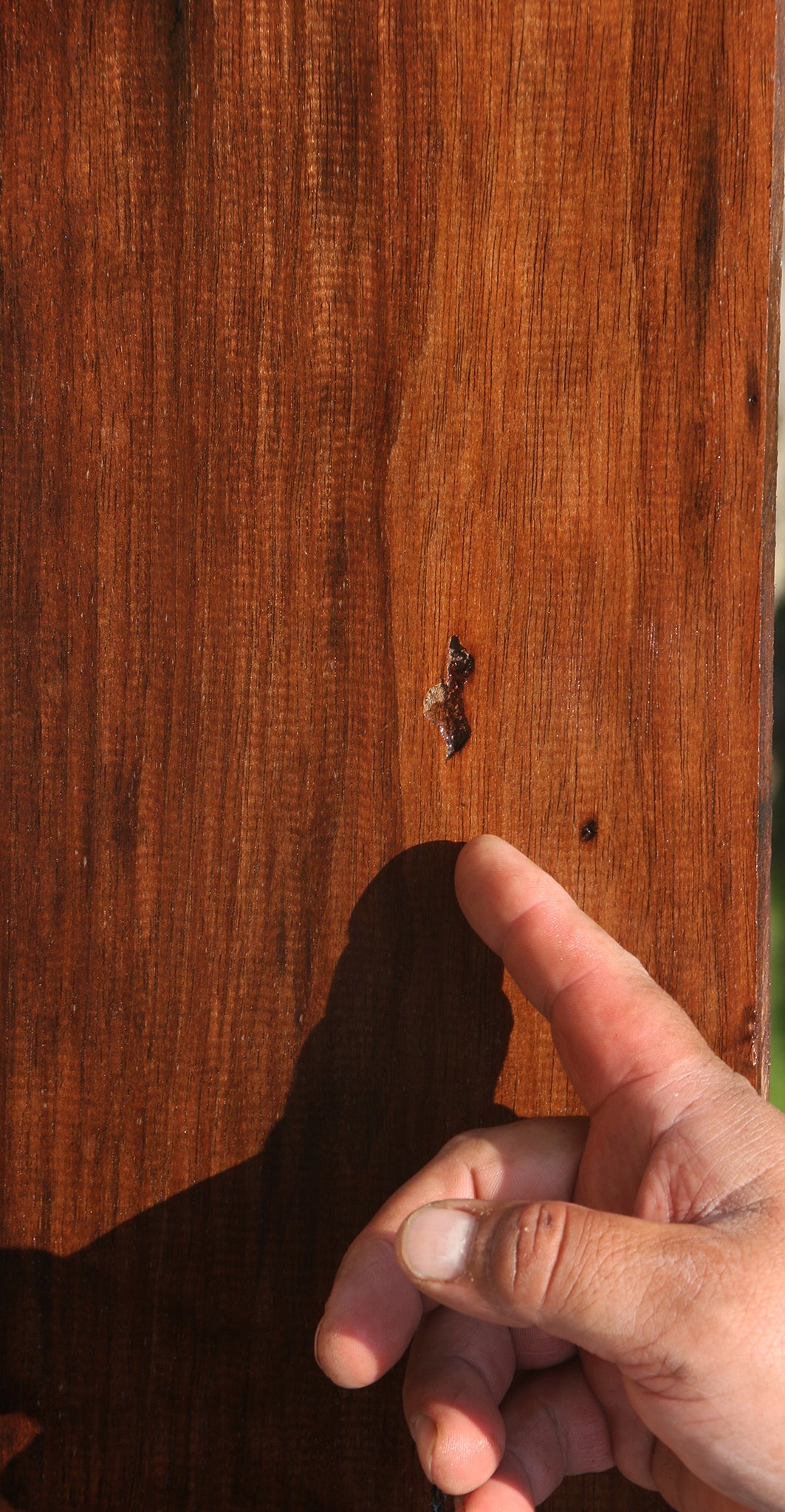 Rustic Peruvian Walnut Lumber