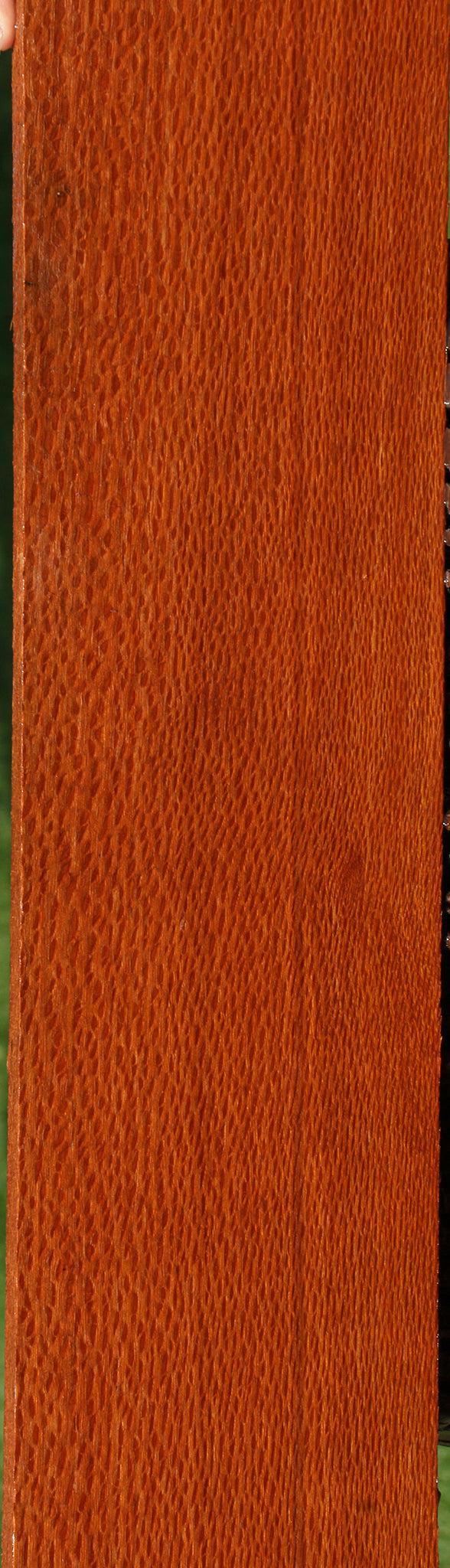 Figured Leopardwood Lumber