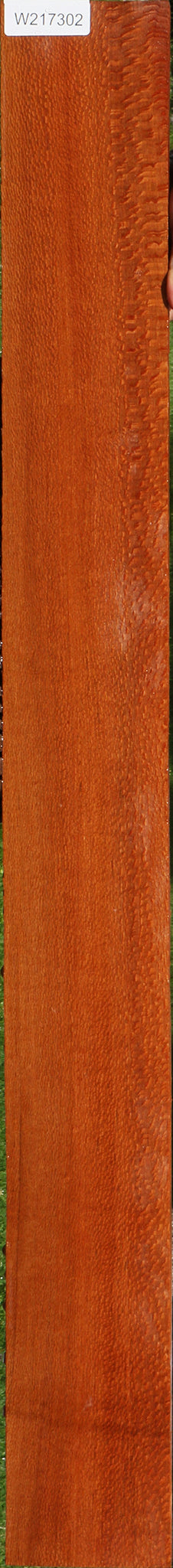 Leopardwood Lumber