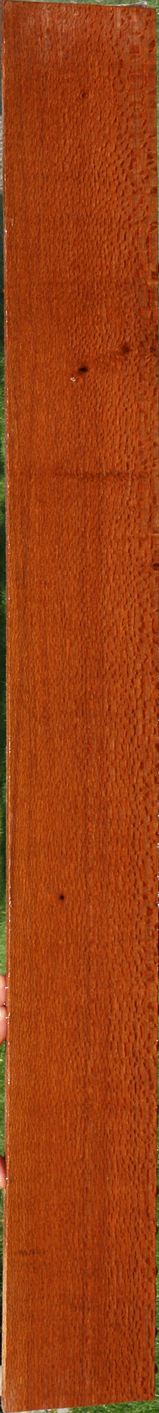 Leopardwood Lumber