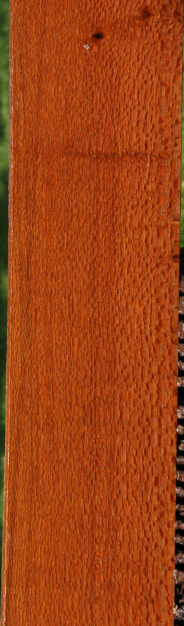 Leopardwood Lumber