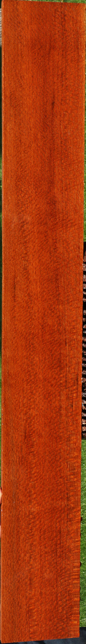 Extra Fancy Leopardwood Lumber