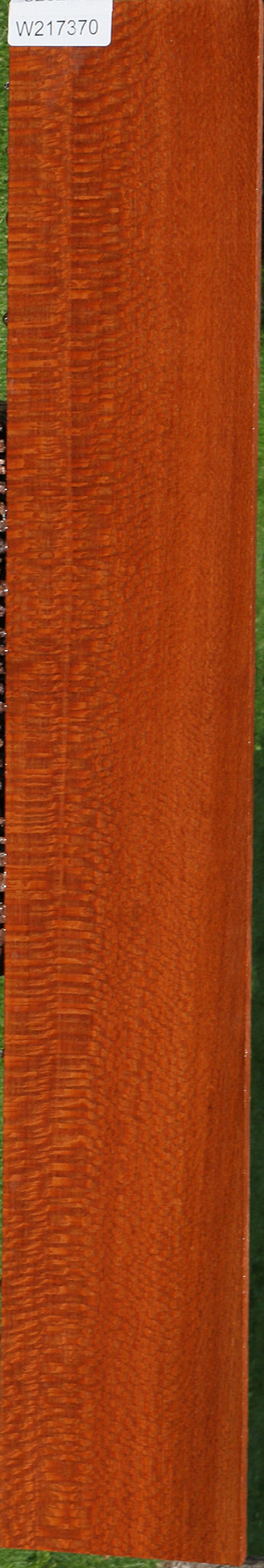 Leopardwood – Cook Woods