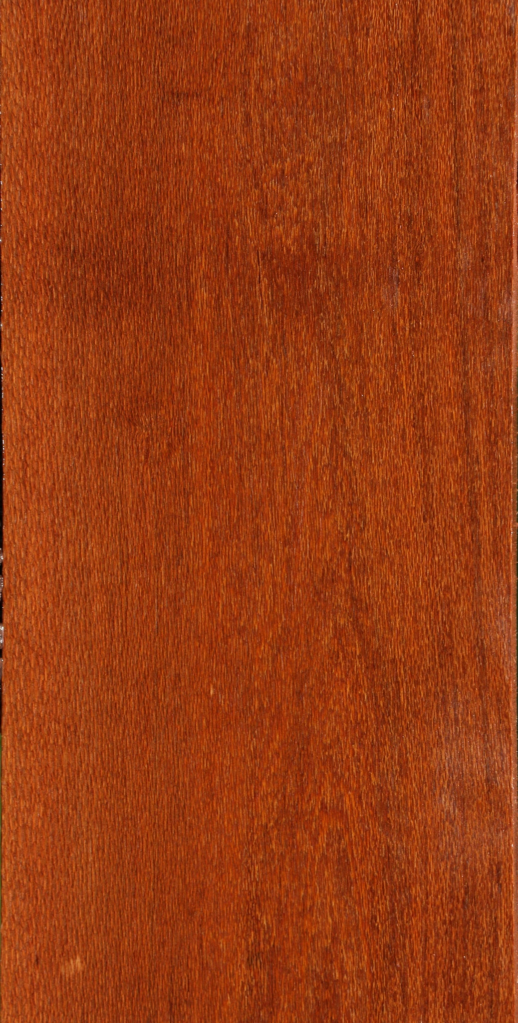 Leopardwood Lumber