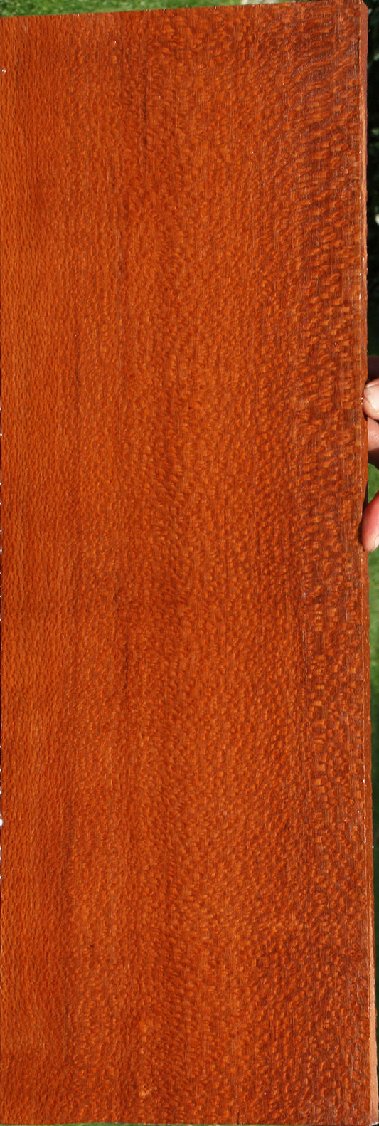 Leopardwood Instrument Lumber