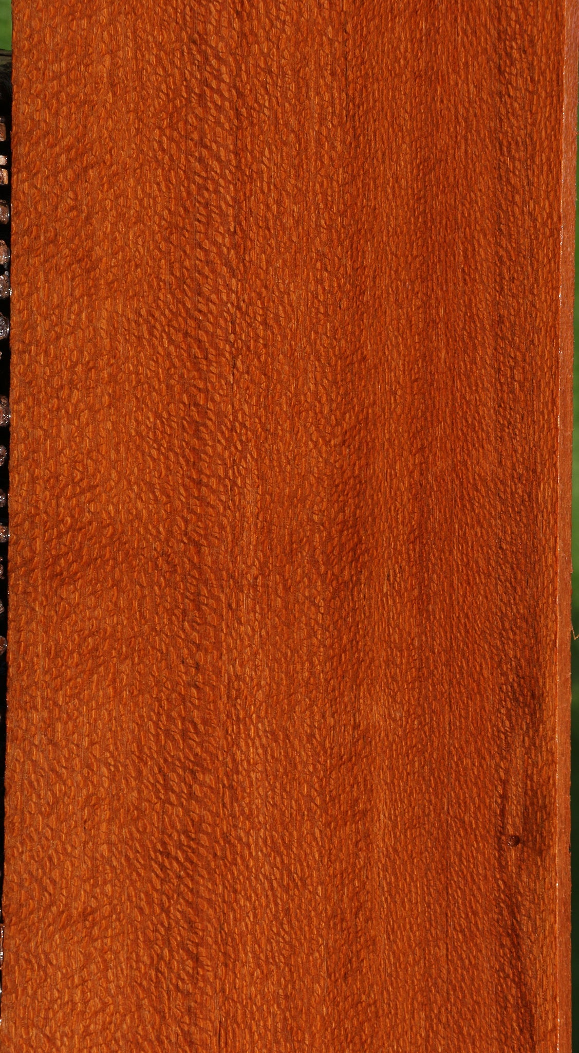 Figured Leopardwood Lumber