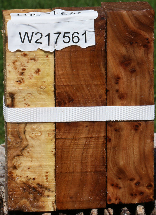 Elm Burl Turning Square 3 Pack