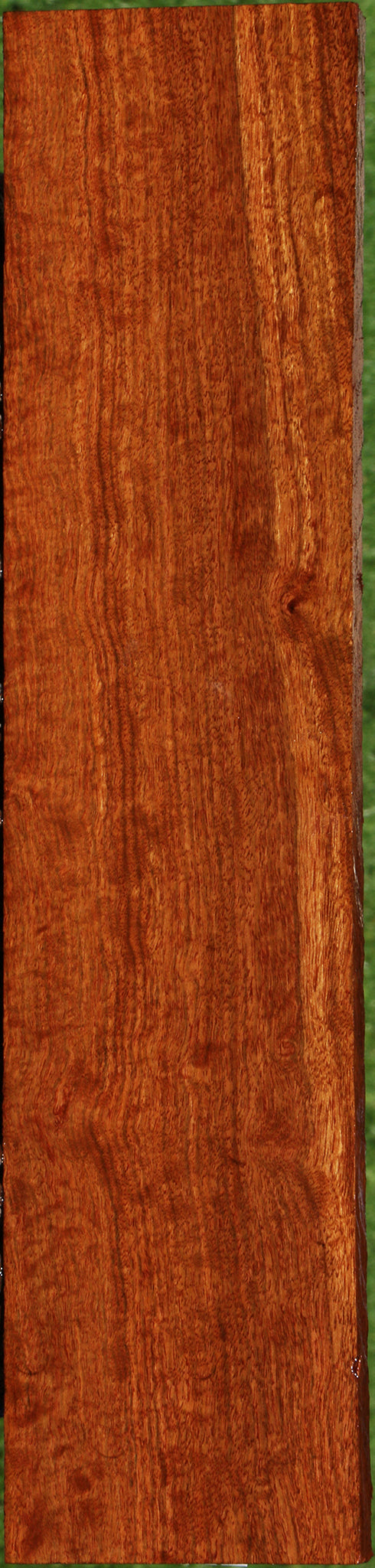 Extra Fancy Chechen Lumber