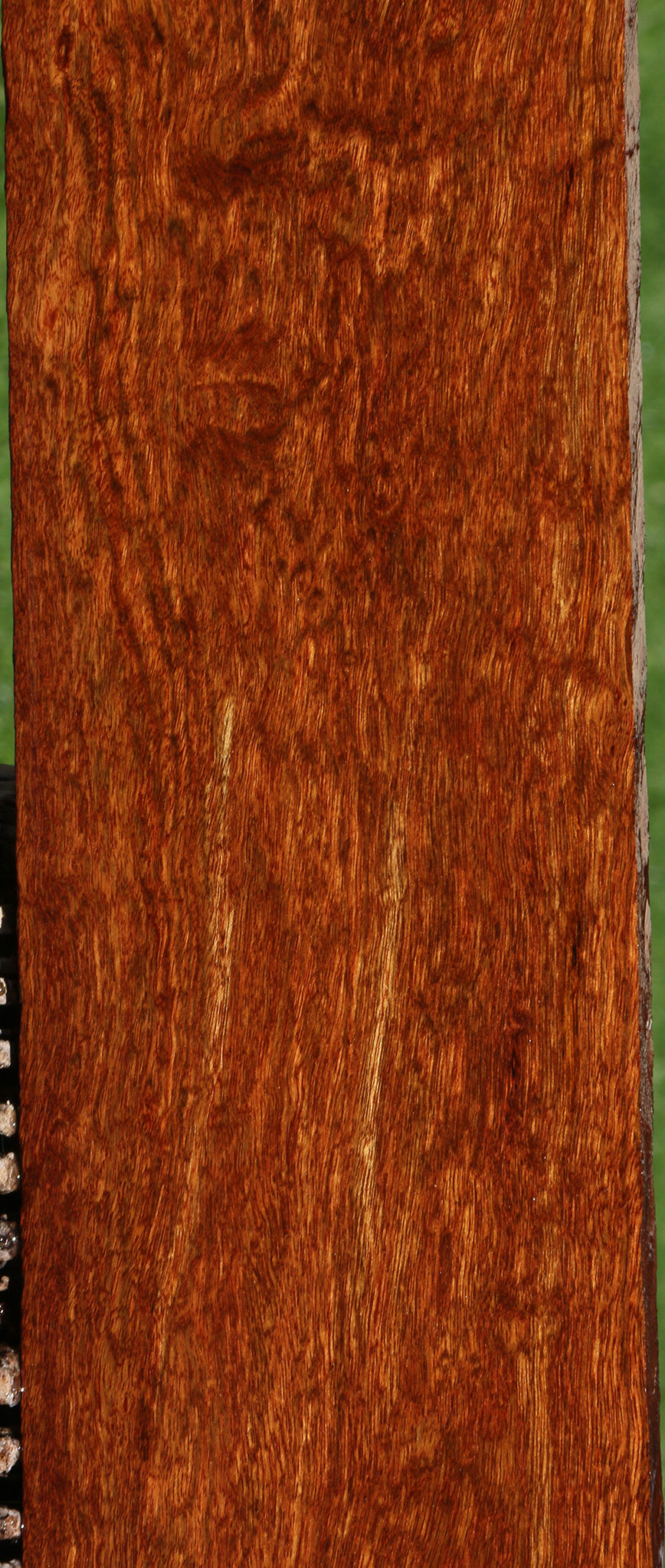 Extra Fancy Chechen Lumber
