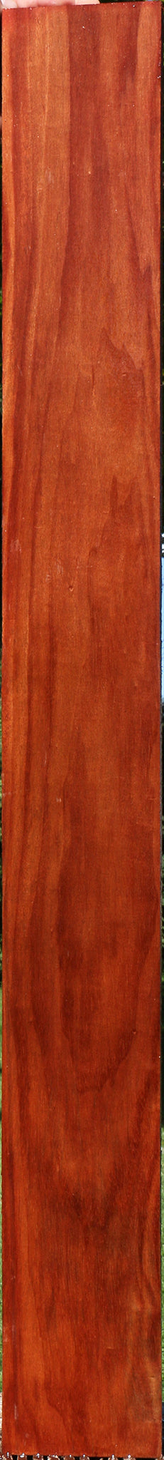 Santos Mahogany Lumber