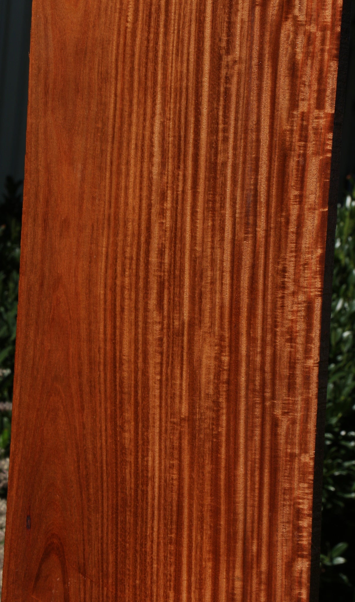 Extra Fancy Santos Mahogany Lumber