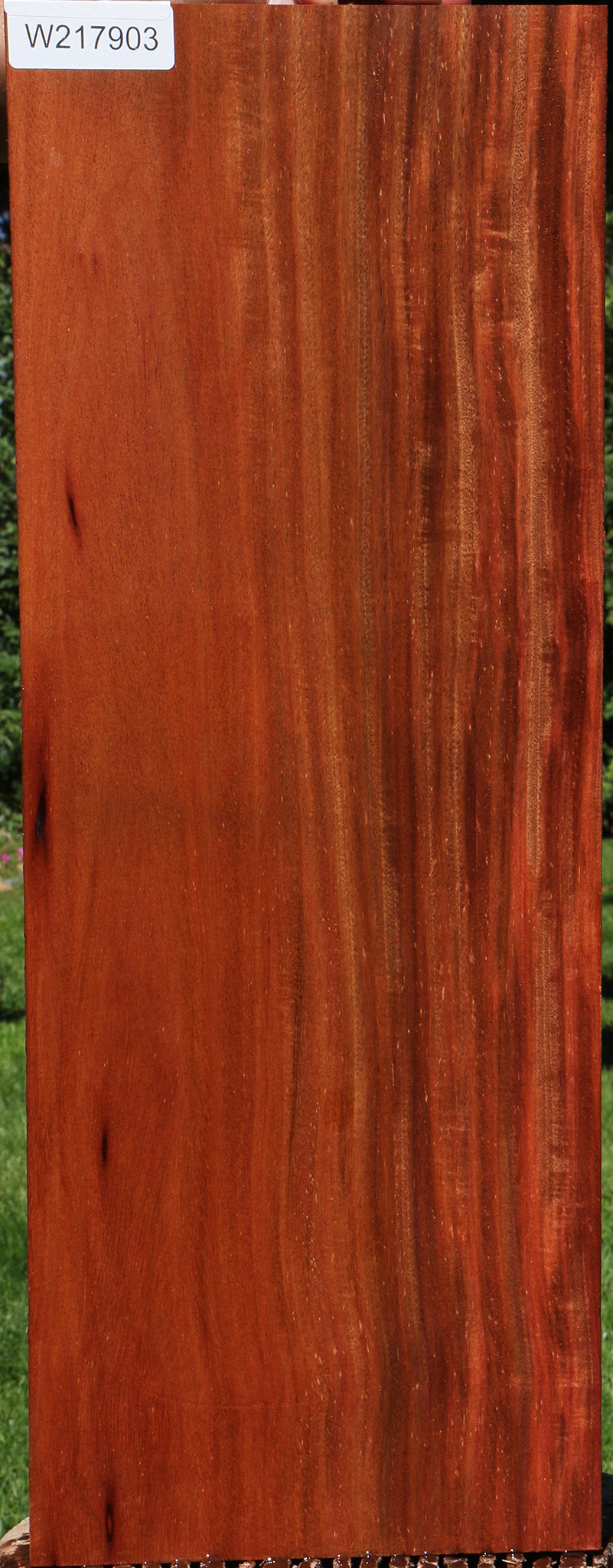 Extra Fancy Santos Mahogany Lumber