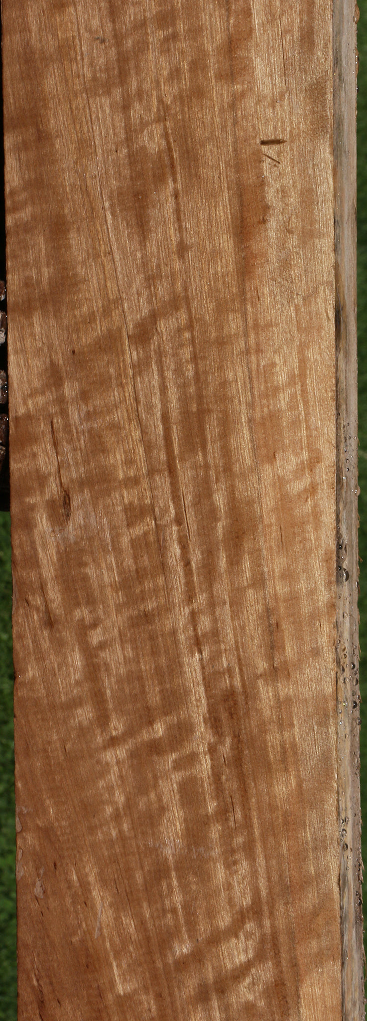 Extra Fancy Asian Satinwood Lumber