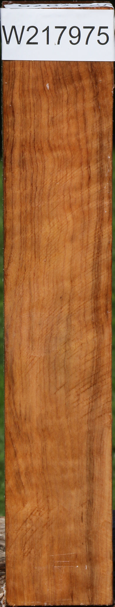 Exhibition Asian Satinwood Turning Square