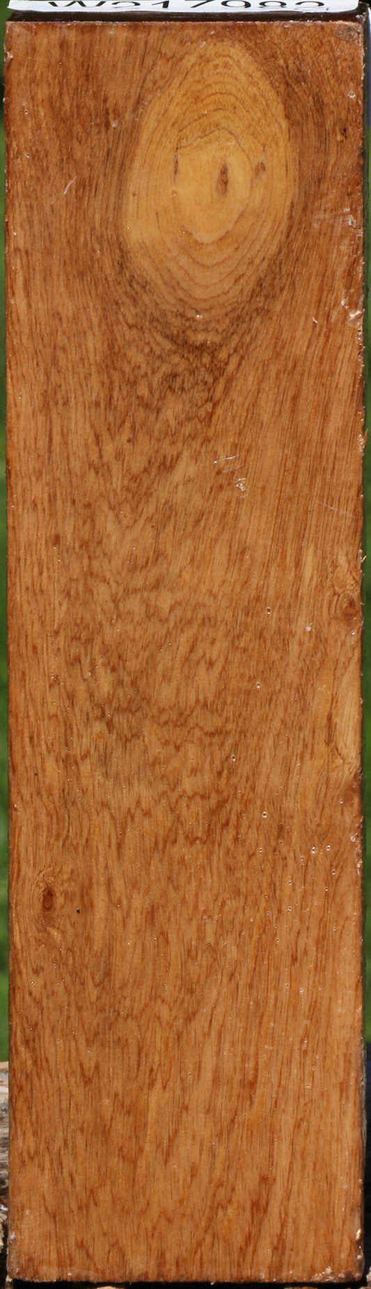 Asian Satinwood Turning Blank