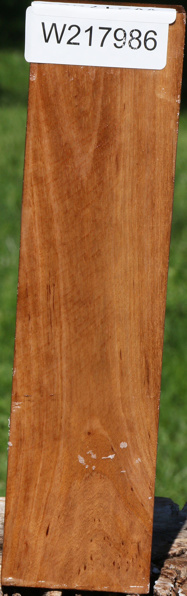 Asian Satinwood Turning Blank