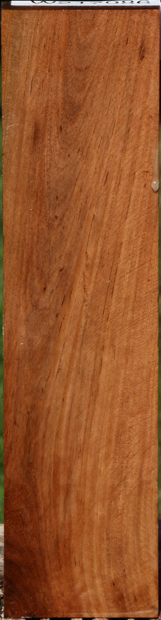 Asian Satinwood Turning Blank