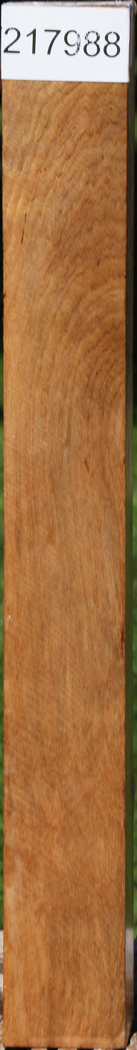 Figured Asian Satinwood Turning Square