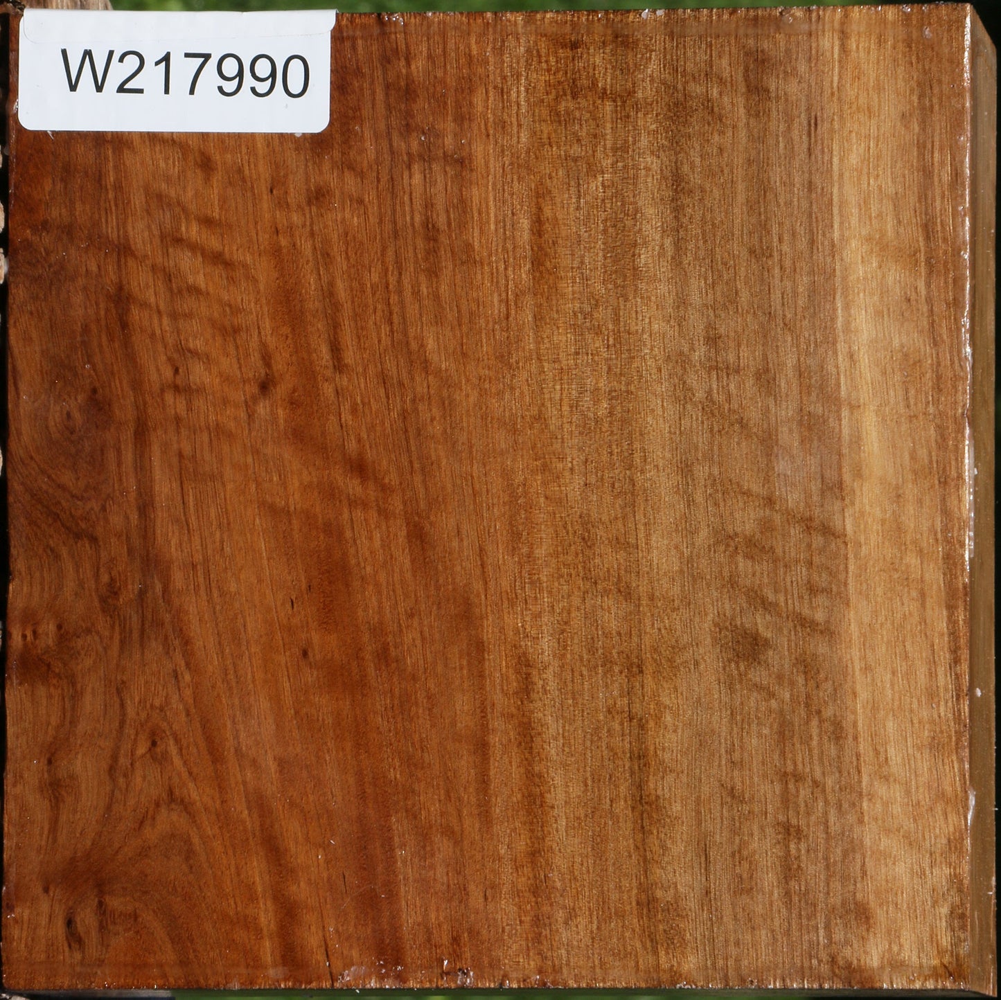 Extra Fancy Asian Satinwood Bowl Blank