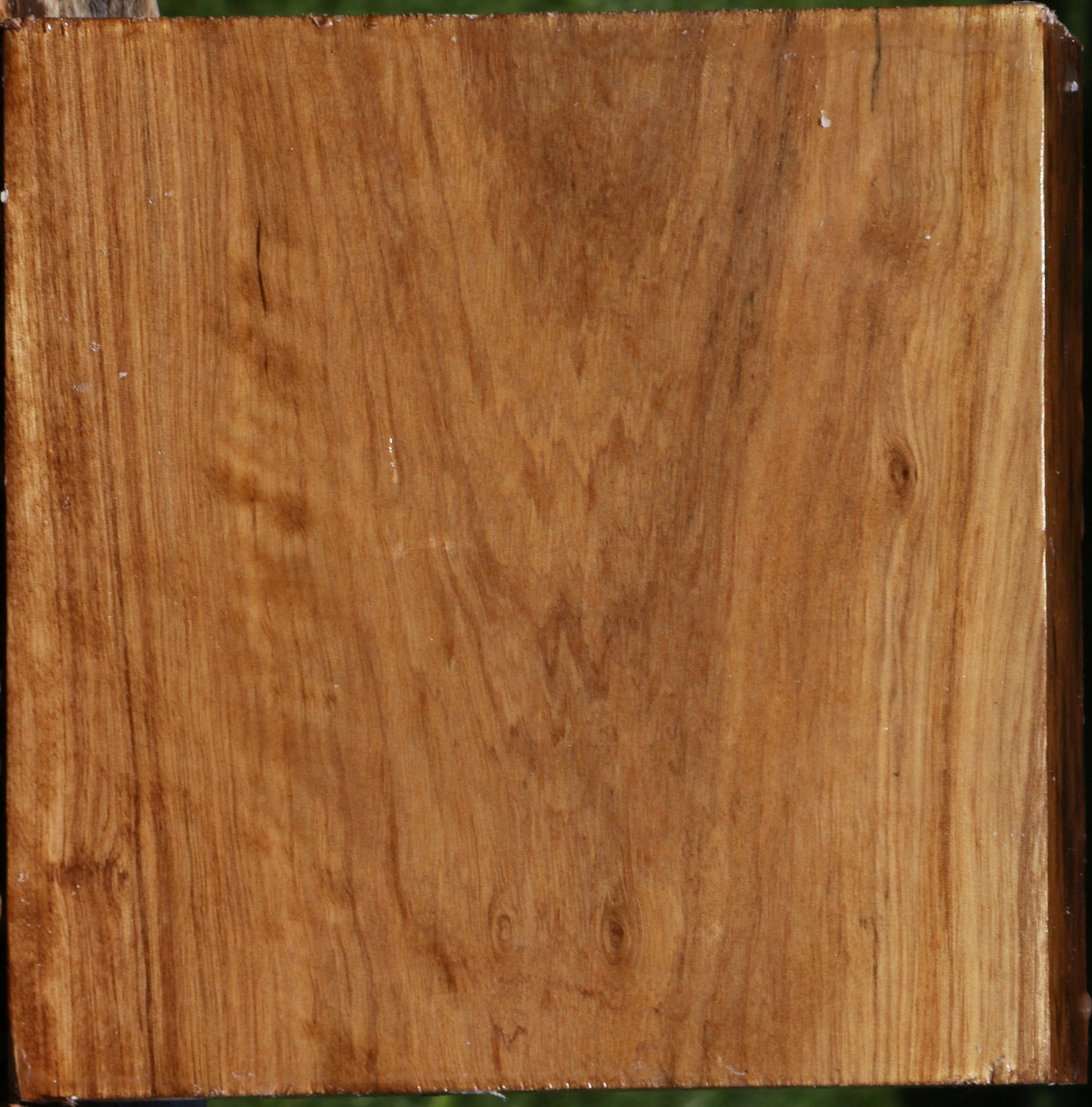 Extra Fancy Asian Satinwood Bowl Blank