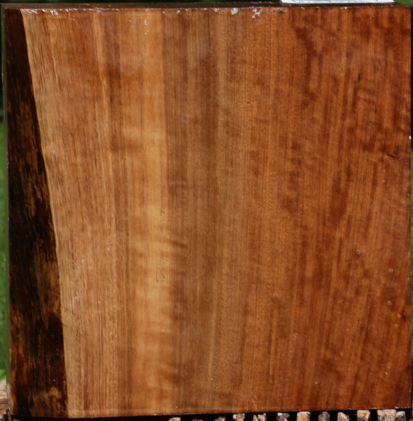 Extra Fancy Asian Satinwood Bowl Blank