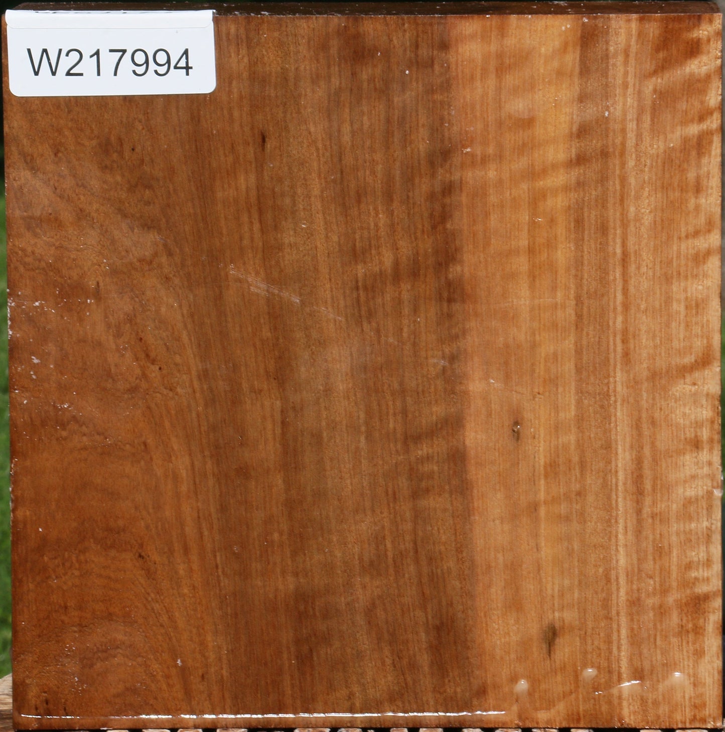 Extra Fancy Asian Satinwood Bowl Blank