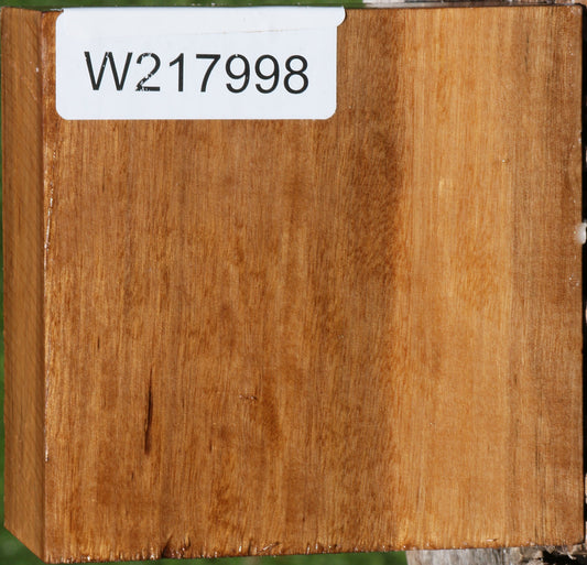 Asian Satinwood Bowl Blank