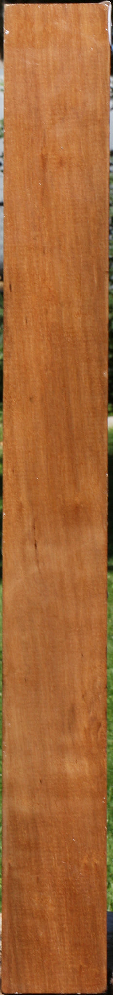 Figured Asian Satinwood Turning Square