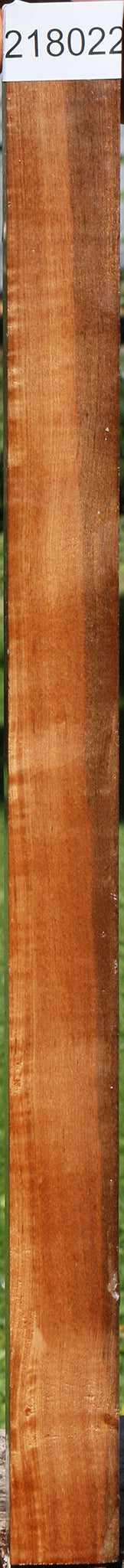 Asian Satinwood Turning Square