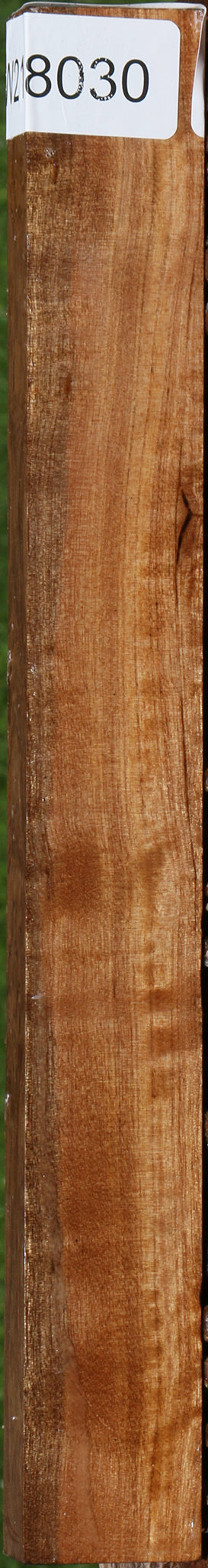 Figured Asian Satinwood Turning Blank