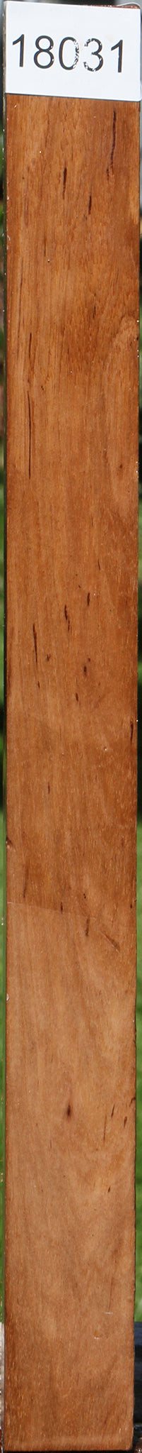 Asian Satinwood Turning Square